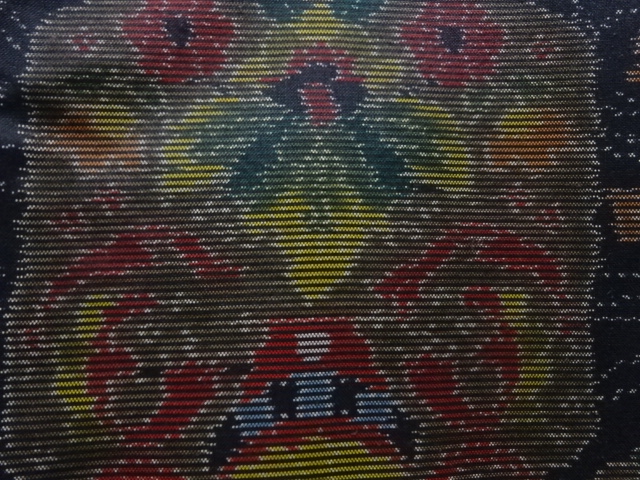 JAPANESE KIMONO / ANTIQUE KIMONO / SILK / DORO OSHIMA TSUMUGI / WOVEN FLOWER